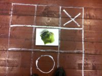 Exhibiton at ANX: Kelp object by Sabine Popp (Photo: Oslofjord ecologies).